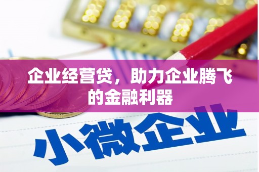 廊坊企业经营贷，助力企业腾飞的金融利器