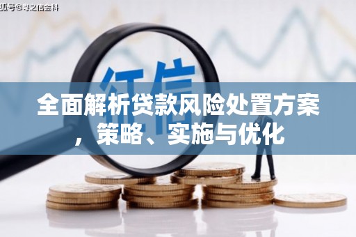 廊坊全面解析贷款风险处置方案，策略、实施与优化