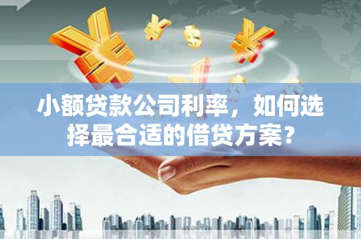 廊坊小额贷款公司利率，如何选择最合适的借贷方案？