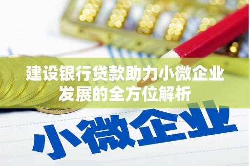 廊坊建设银行贷款助力小微企业发展的全方位解析