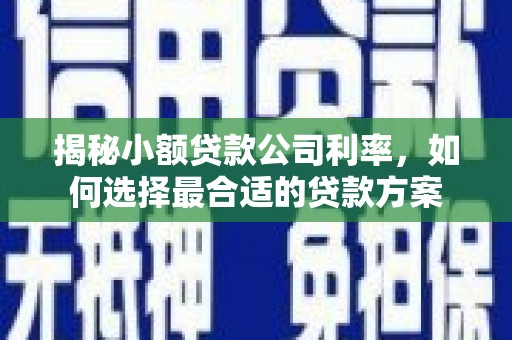 廊坊揭秘小额贷款公司利率，如何选择最合适的贷款方案