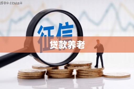 廊坊贷款养老