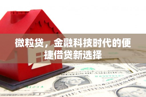 廊坊微粒贷，金融科技时代的便捷借贷新选择