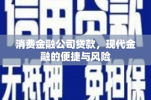 廊坊消费金融公司贷款，现代金融的便捷与风险