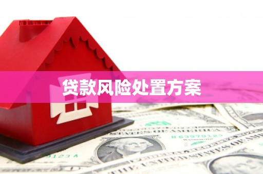 廊坊贷款风险处置方案